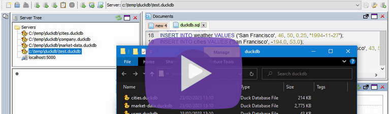 DuckDB SQL