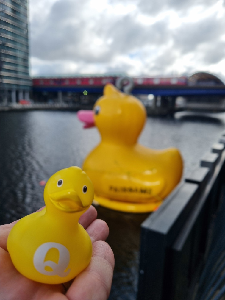 qDuck London