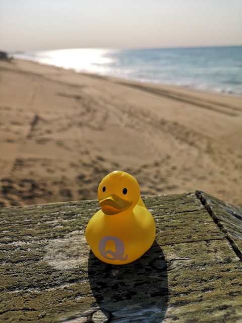 qDuck