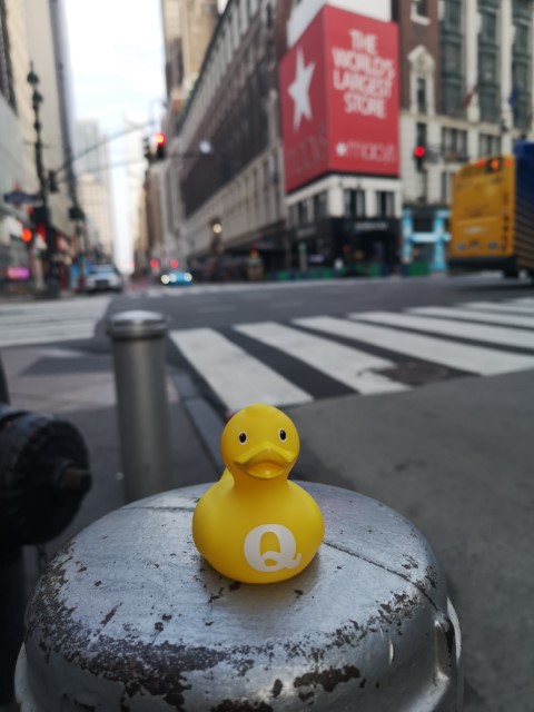 qDuck