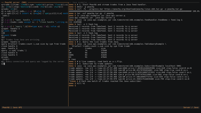 A Java feed handler streaming trades into PeachQ